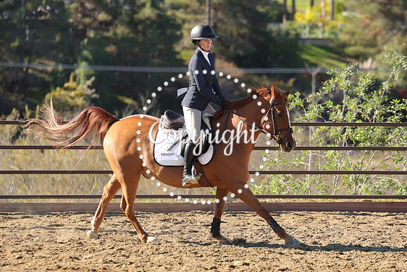 IMG_2869CRD1