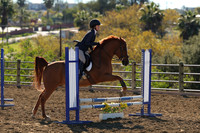 IMG_2879CRD1