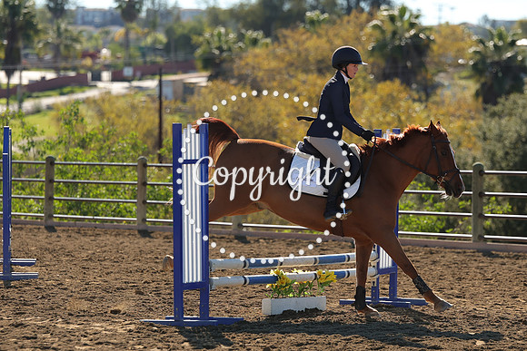 IMG_2882CRD1
