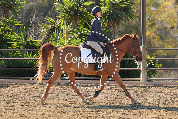 IMG_2921CRD1