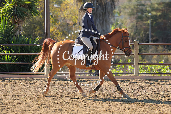 IMG_2922CRD1