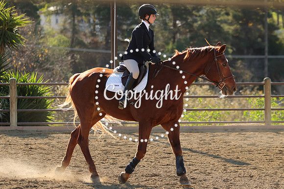 IMG_4809CRD2