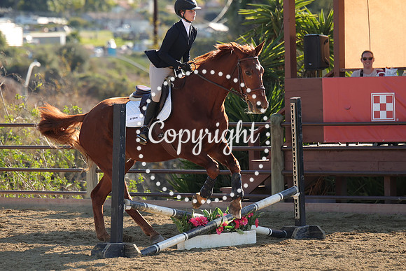 IMG_4826CRD2