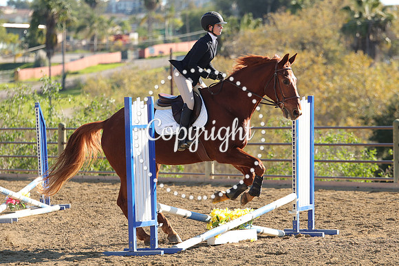 IMG_4832CRD2
