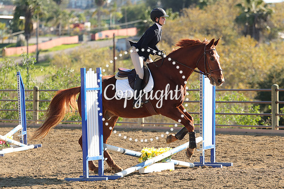 IMG_4833CRD2