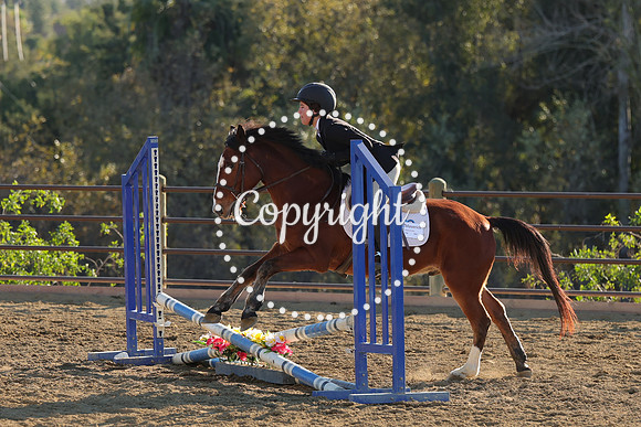 IMG_5404CRD2