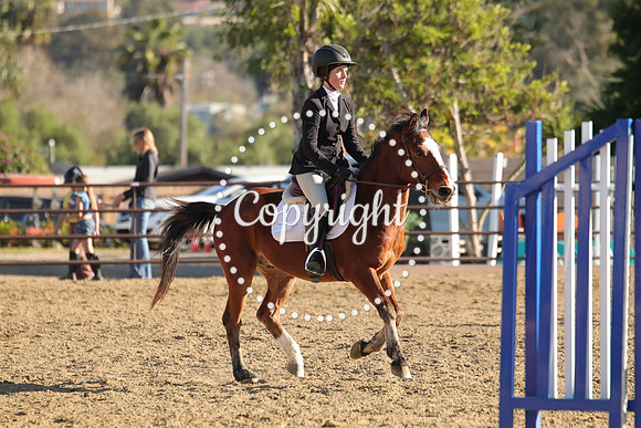 IMG_5419CRD2