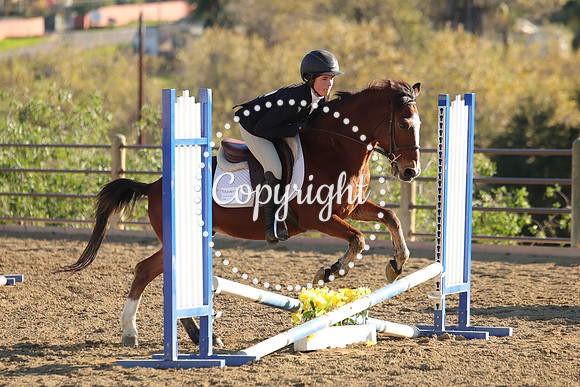 IMG_5424CRD2
