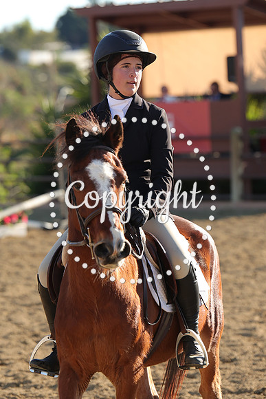 IMG_5445CRD2