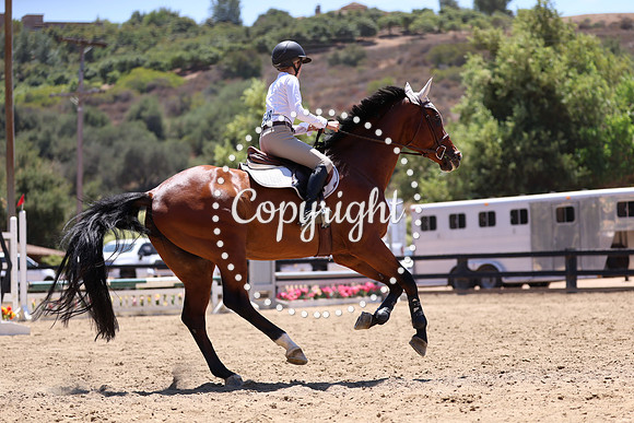 AVMP4885