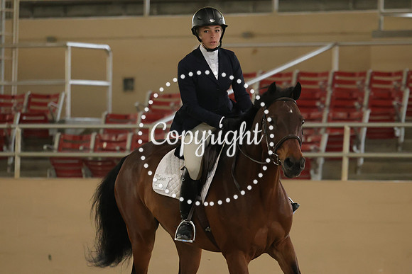 IMG_6005