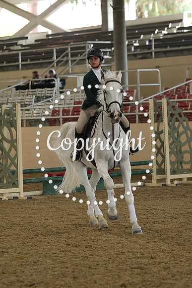 IMG_7180
