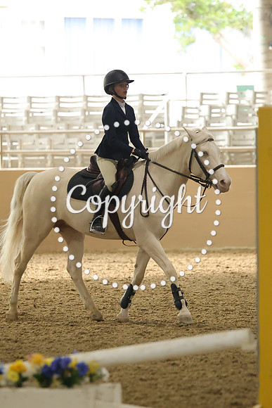 IMG_9154