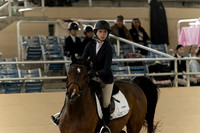 IMG_8291