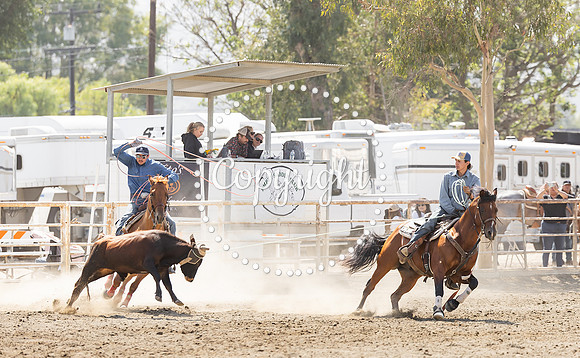 AVMM2505