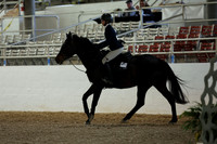 AVMM3783