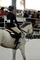 AVMM1899
