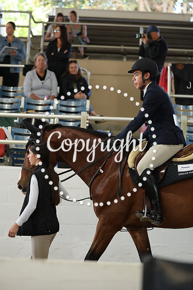 AVMM1961