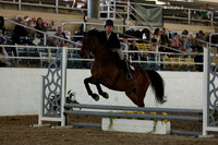 AVMM2496