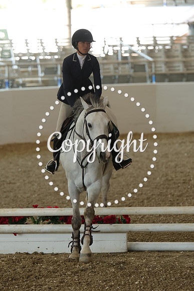 IMG_9355