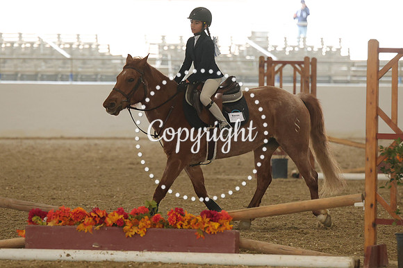 IMG_6867