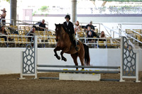 AVMM2199