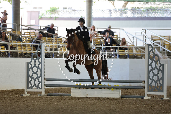 AVMM2199