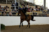 AVMM2201