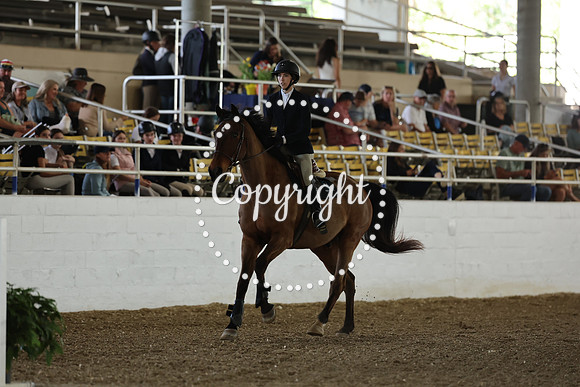 AVMM2201