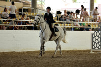 AVMM3954