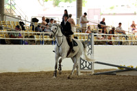 AVMM3953