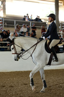 AVMM2001