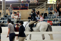 AVMM2004