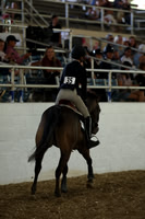AVMM3958