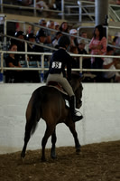 AVMM3959