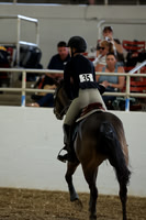 AVMM3972