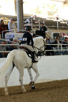 AVMM2008