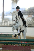 AVMM2011