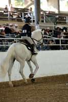 AVMM2010