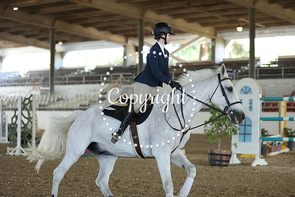 AVMM2247
