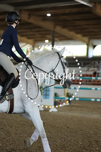 AVMM2250