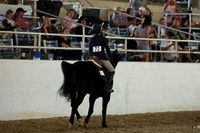 AVMM3979