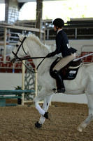 AVMM1831