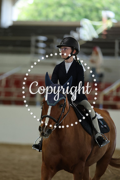 AVMM4382
