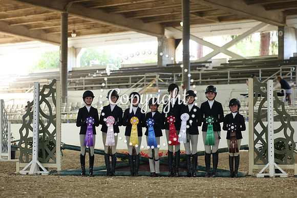 AVMM4444