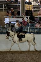 AVMM3277