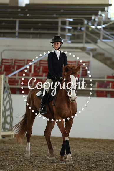 AVMM2990