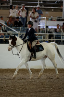 AVMM3199
