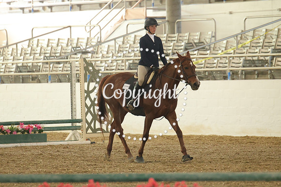 IMG_0420