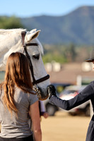 AVMM1760
